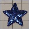 Sequin Star